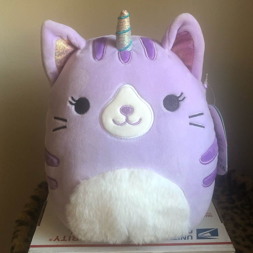 NWT Squishmallow